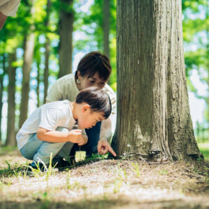 断熱性能はどのように確認する？年中快適に暮らせる家とは