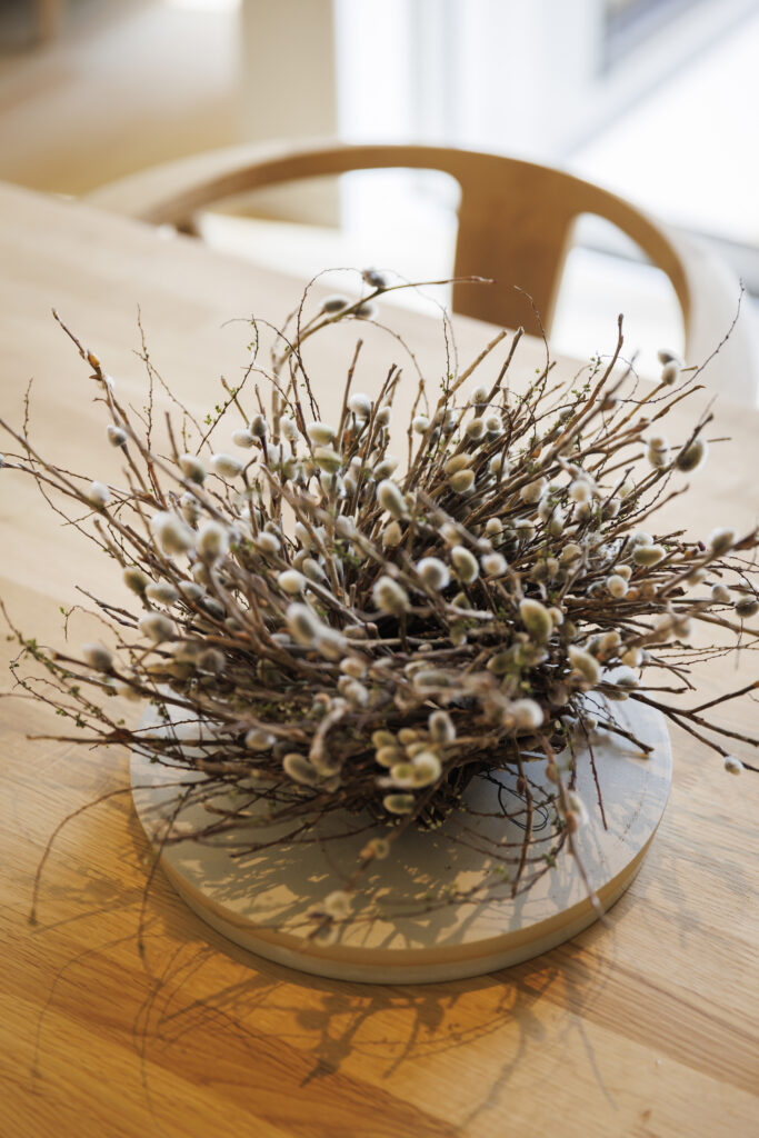 3/14.15　瀬戸内市邑久町　完成見学会　スペシアラボ